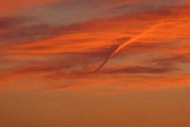 夕焼け空の赤トンボ様 泉州ケルタマ各500本おまけ泉州10本 夕焼け空と