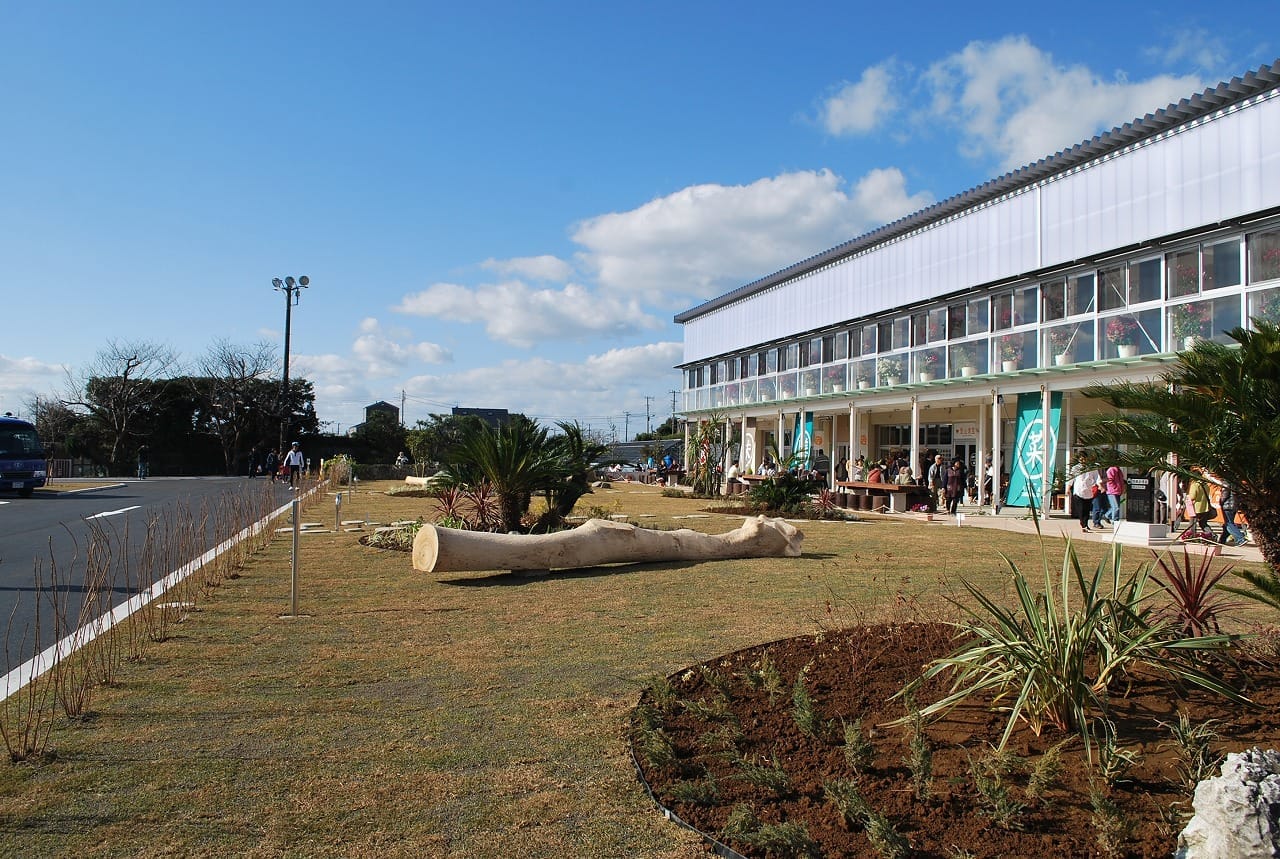 道の駅「保田小学校」