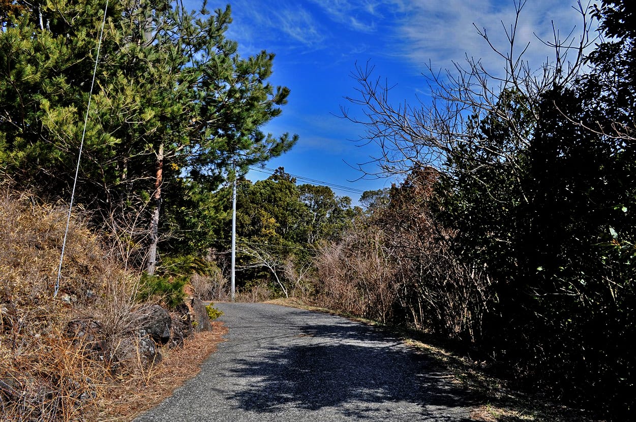 鴨川ウッドストック