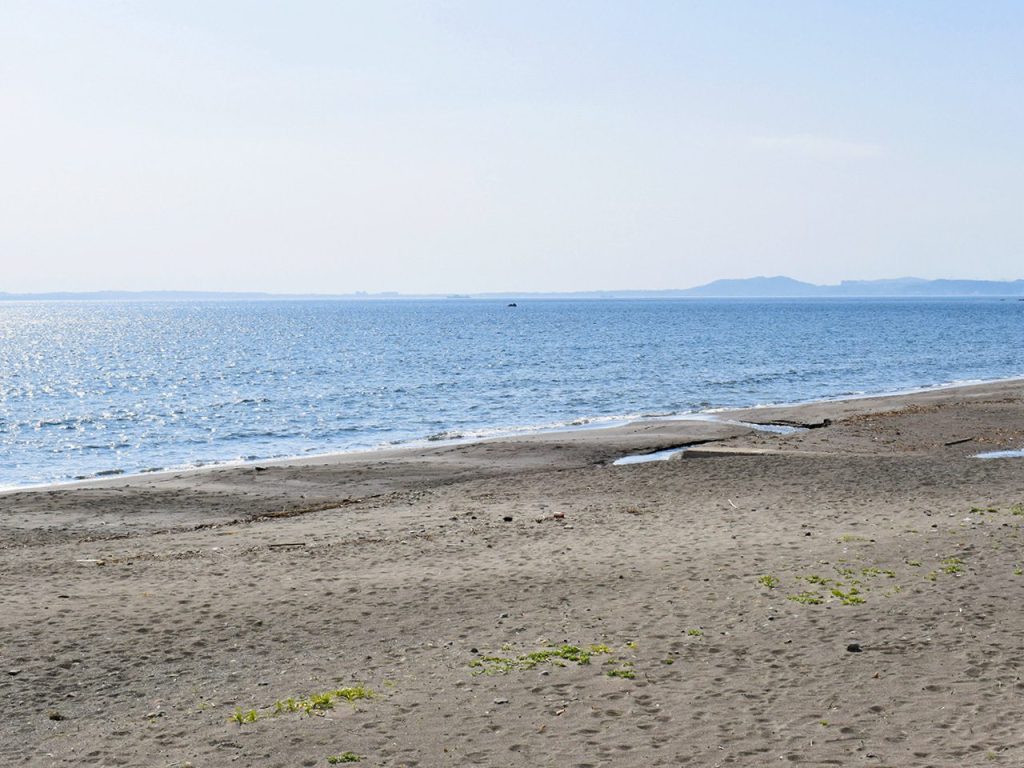元名163坪