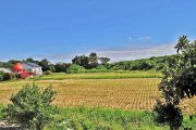 安馬谷　住友林業