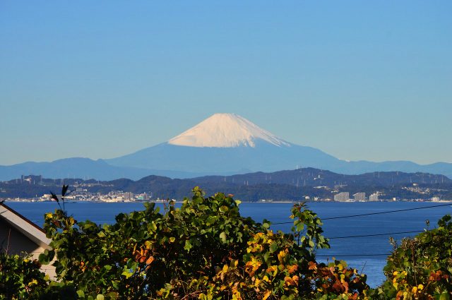 東京湾越しの富士山   鋸南リゾート株式会社   千葉の別荘、海、田舎