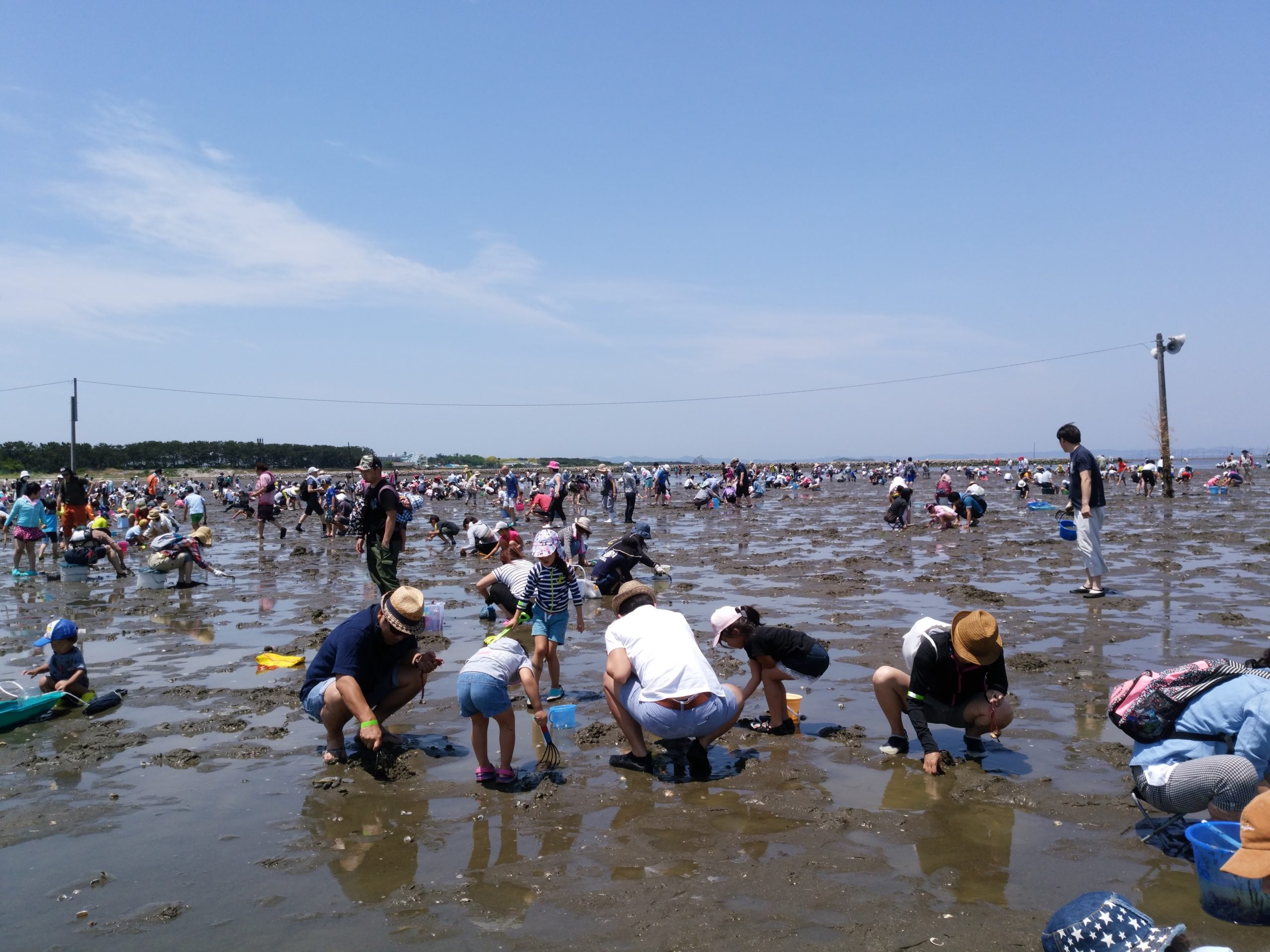 富津公園潮干狩り場