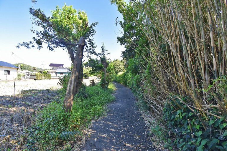 白浜町根本116坪