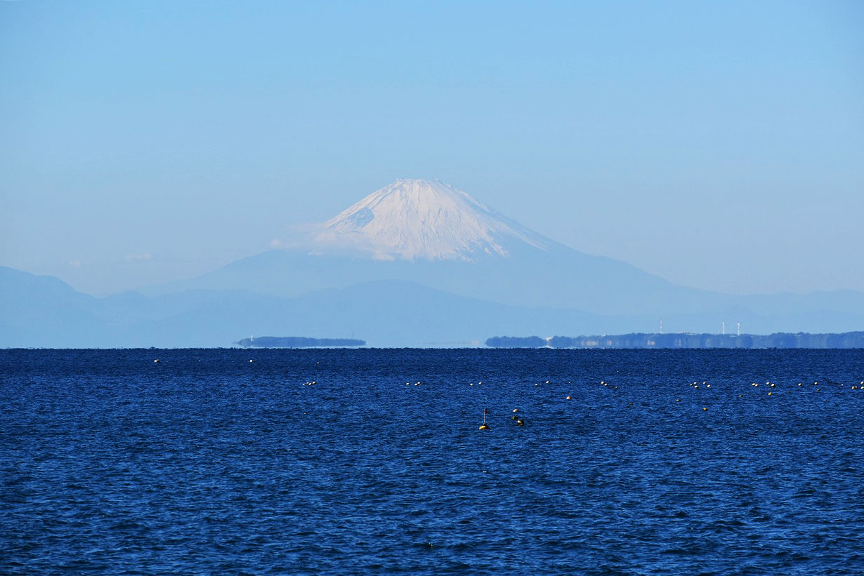 ハーバーアイランド　オーシャンフロント