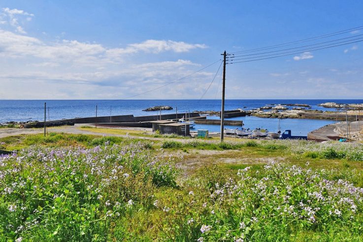 西川名　東栄建設