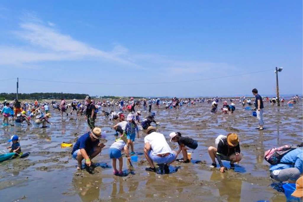 富津公園潮干狩り場