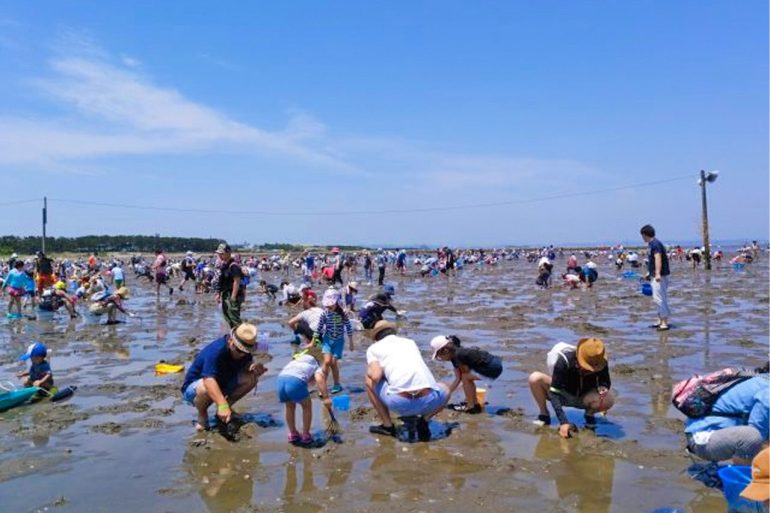 富津公園潮干狩り場