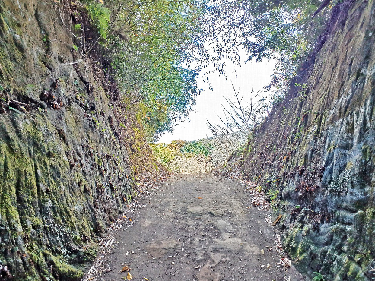 とうしろ台城跡