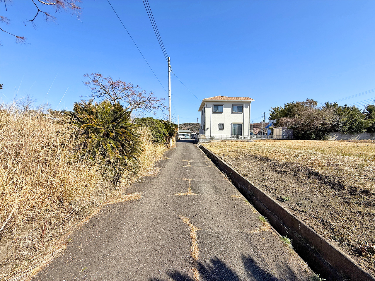 館山市佐野67坪