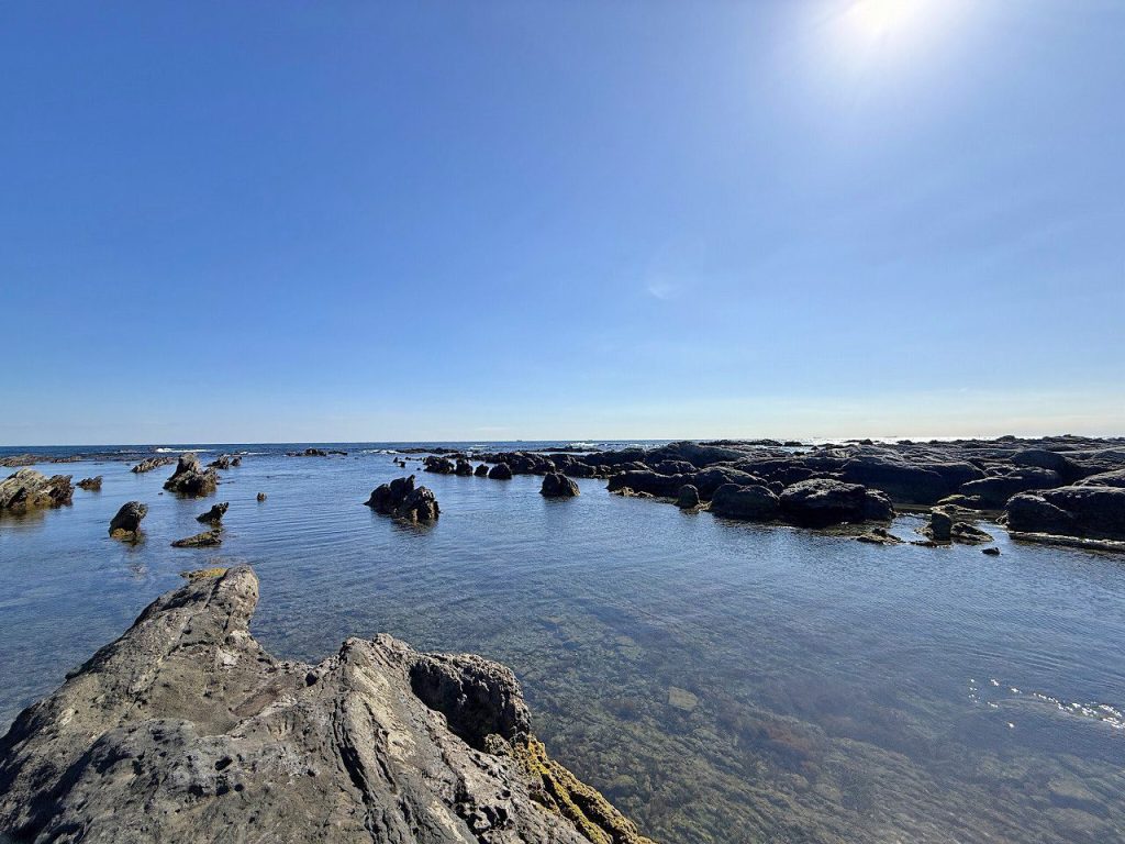 自社　忽戸ポイント