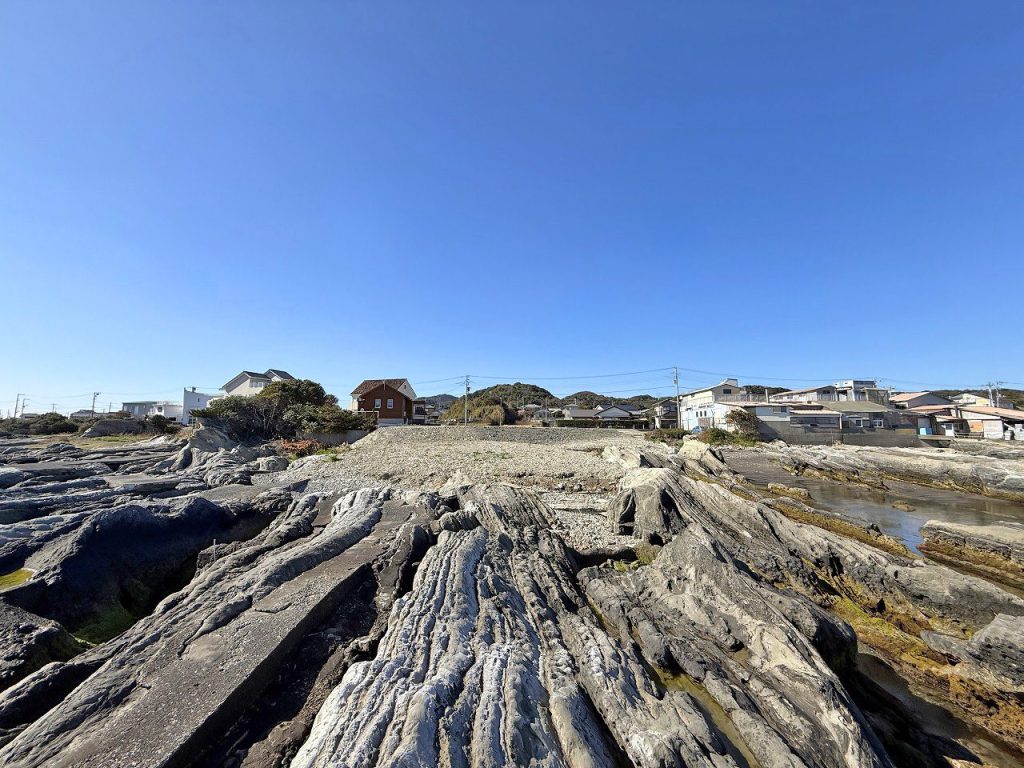 自社　忽戸ポイント