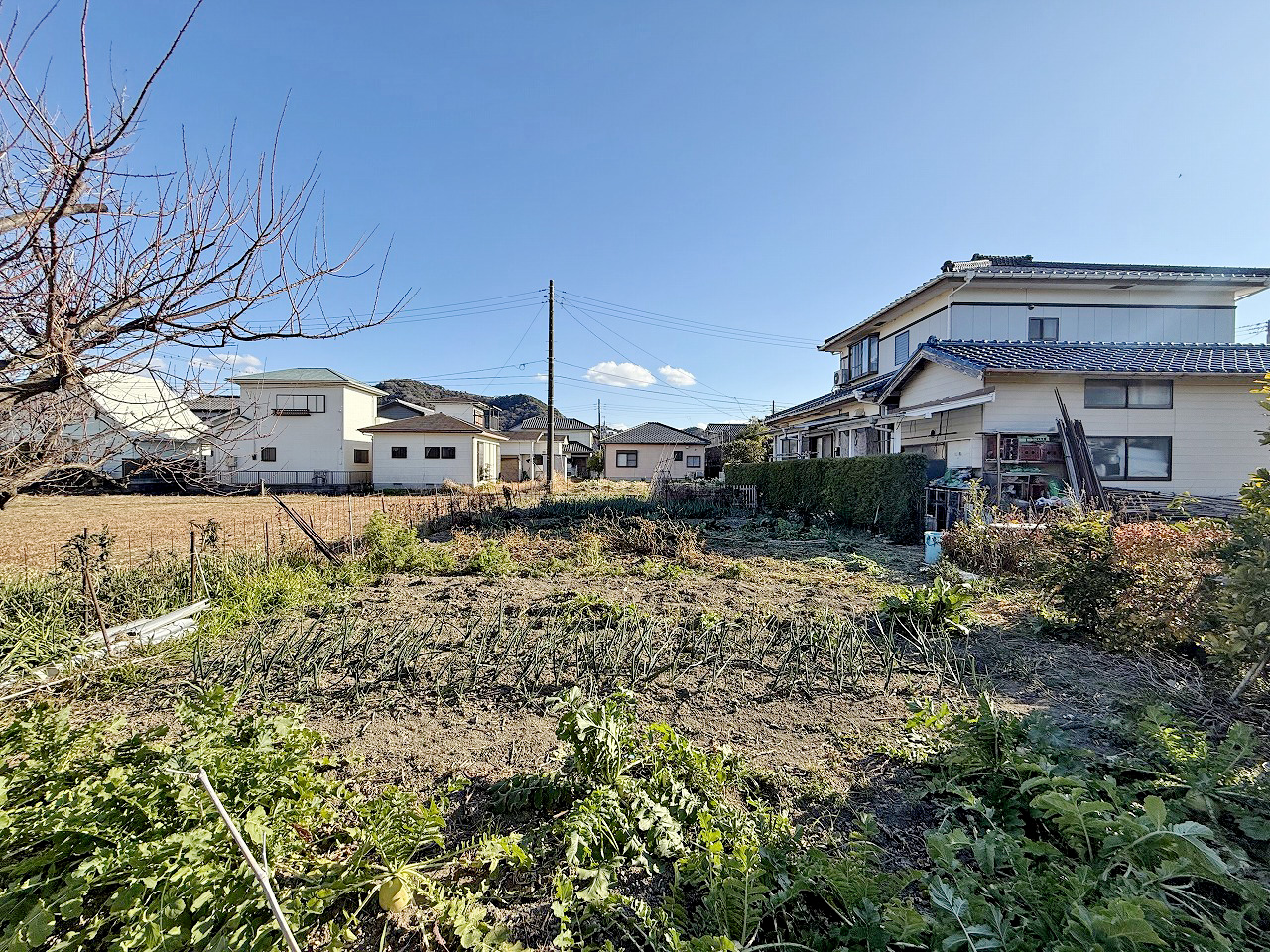 鋸南町保田264坪　敷地5