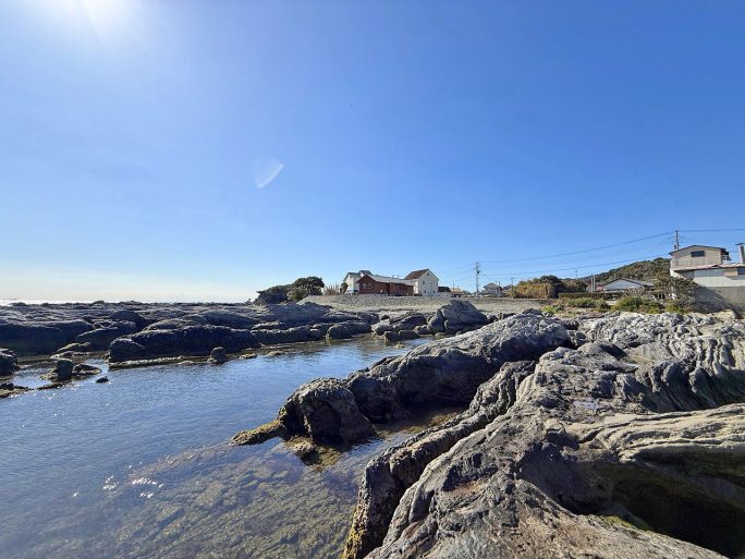 自社　忽戸ポイント