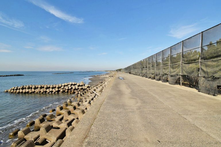 ケープショア海一列目100坪