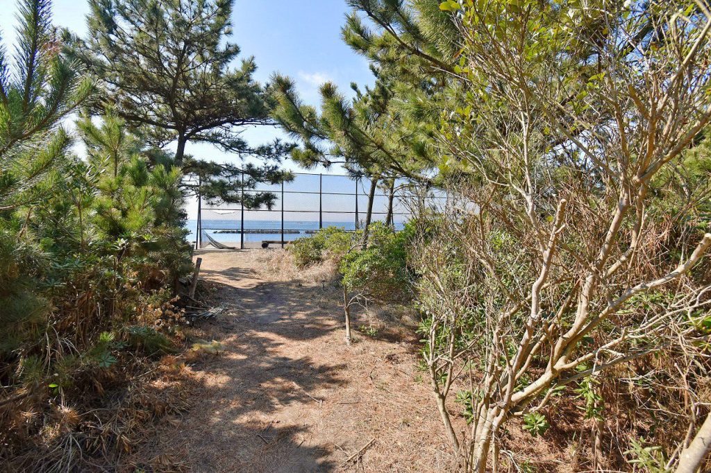 ケープショア海一列目100坪