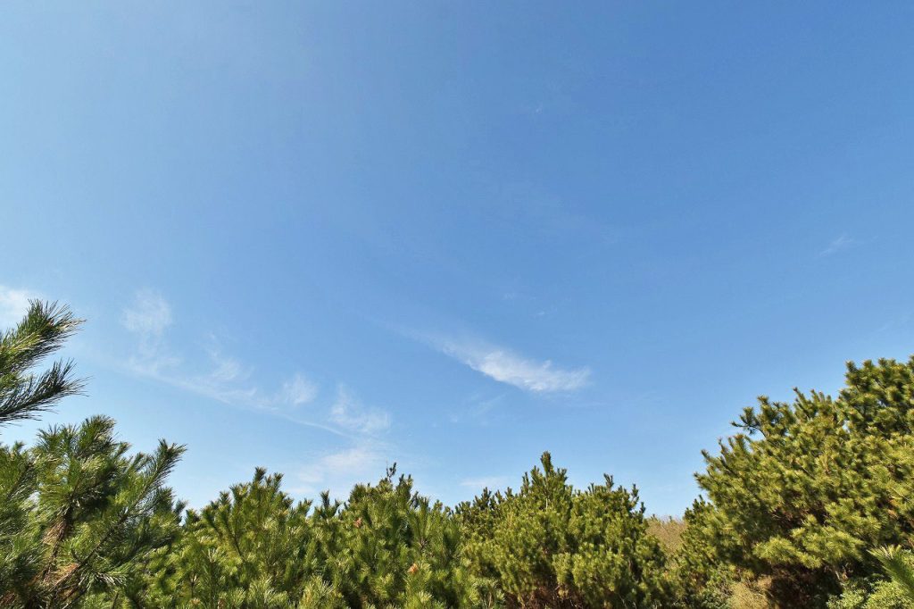 ケープショア海一列目100坪