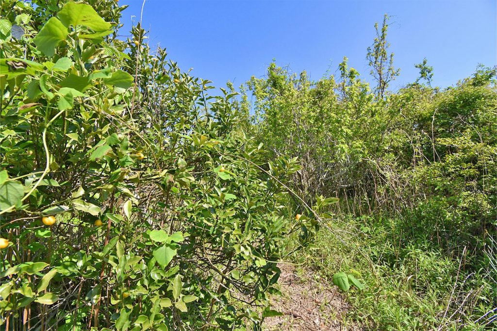 東虹苑フラット