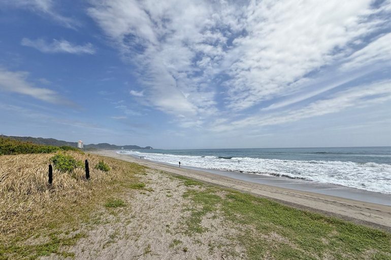 和田町柴　敷地⑥