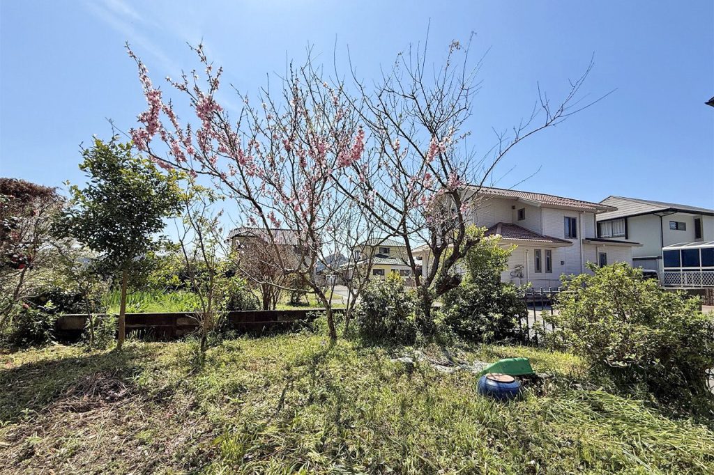 竜島古屋付44坪　敷地②