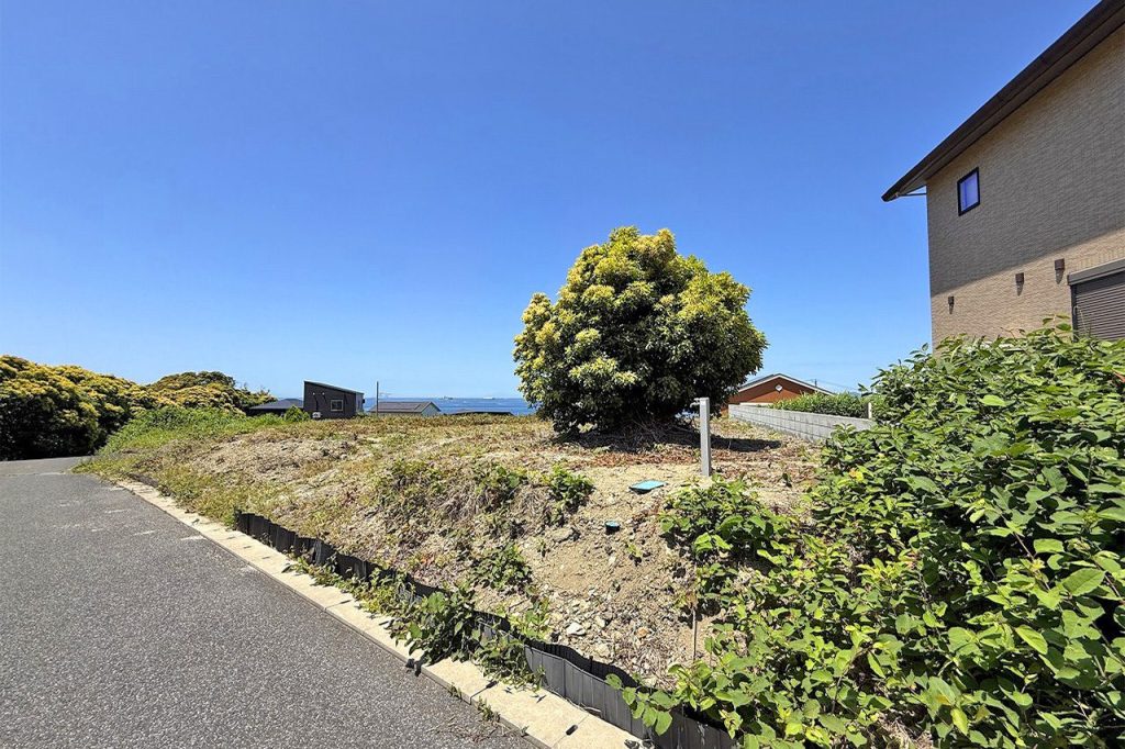 金谷土地99坪